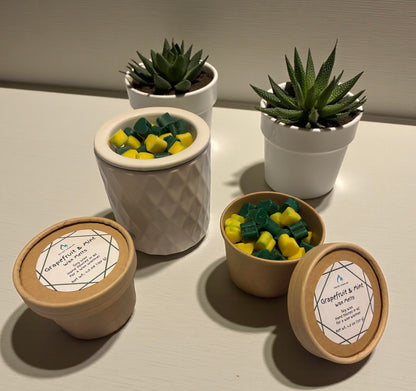 Grapefruit, Honeysuckle & Mint Wax Melts