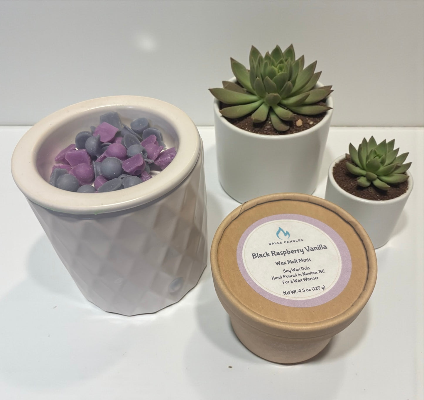 Black Raspberry Vanilla- Wax Melt Minis