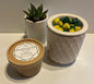 Grapefruit, Honeysuckle & Mint Wax Melts