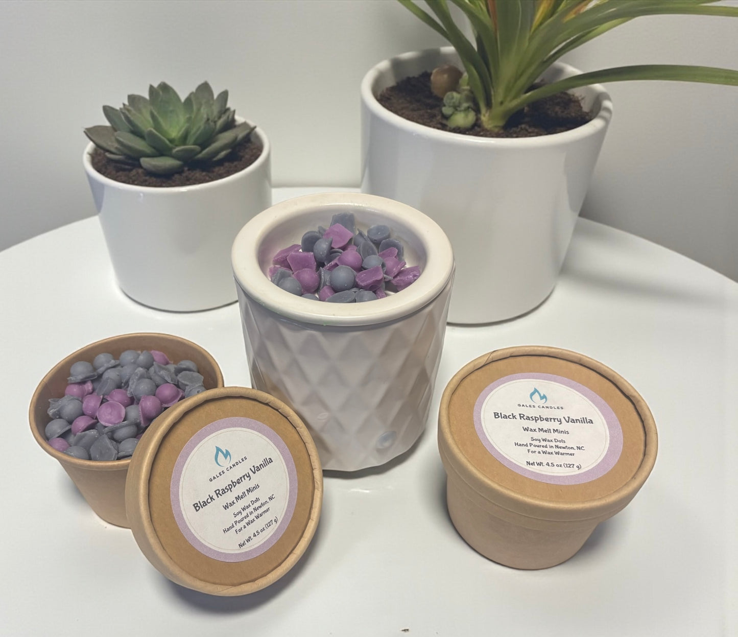 Black Raspberry Vanilla- Wax Melt Minis