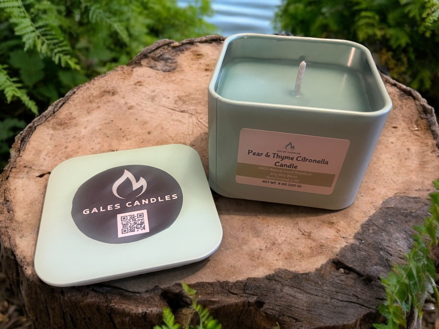 Citronella Candle Collection