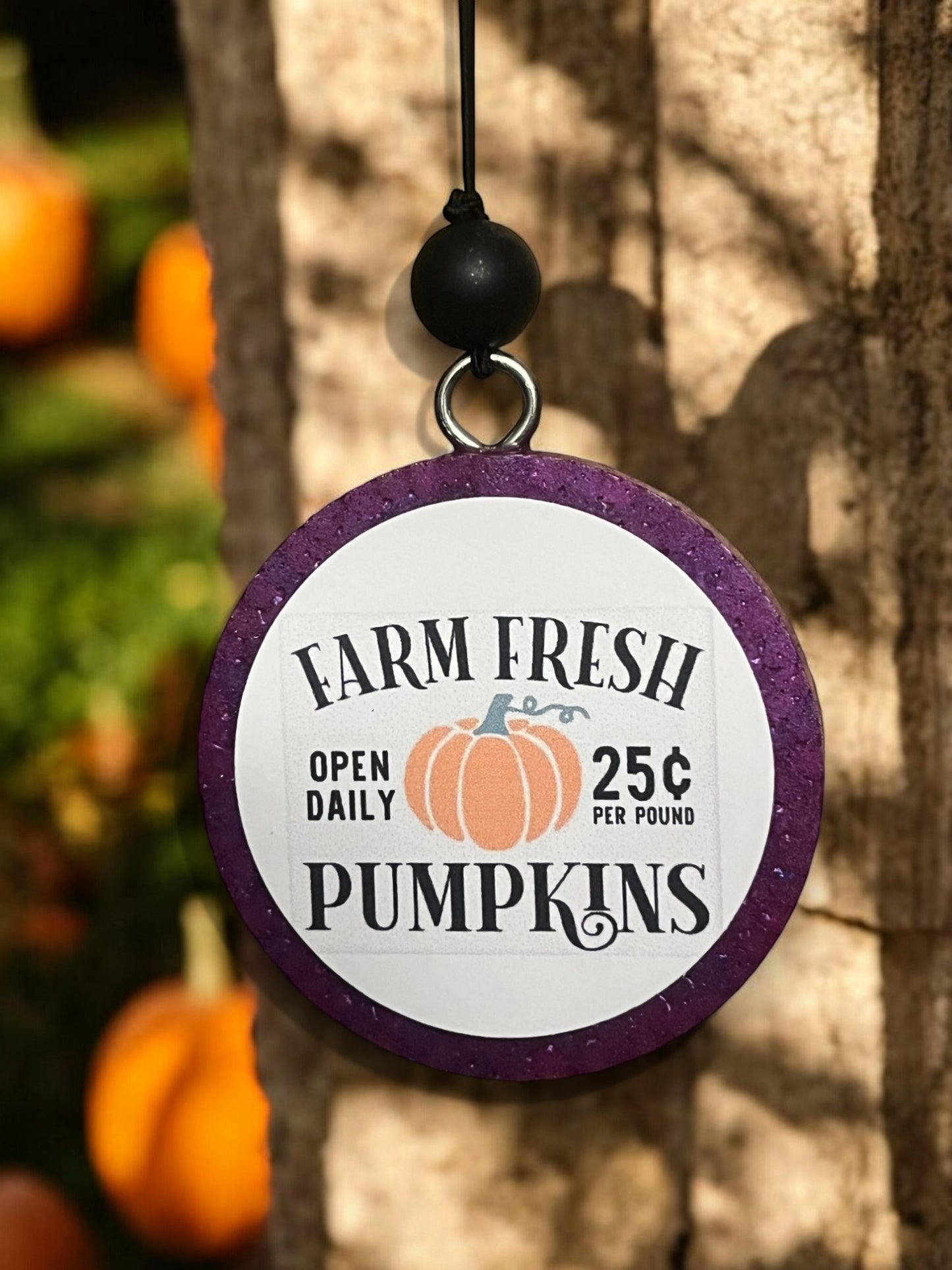 Farm Fresh Pumpkins Freshie