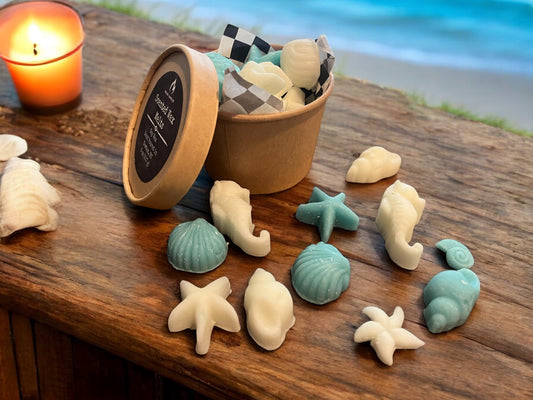 Ocean Breeze Tropical Wax Melts