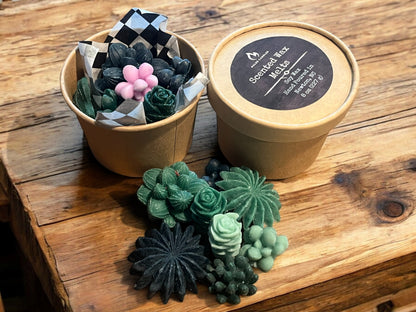 Succulent Wax Melts