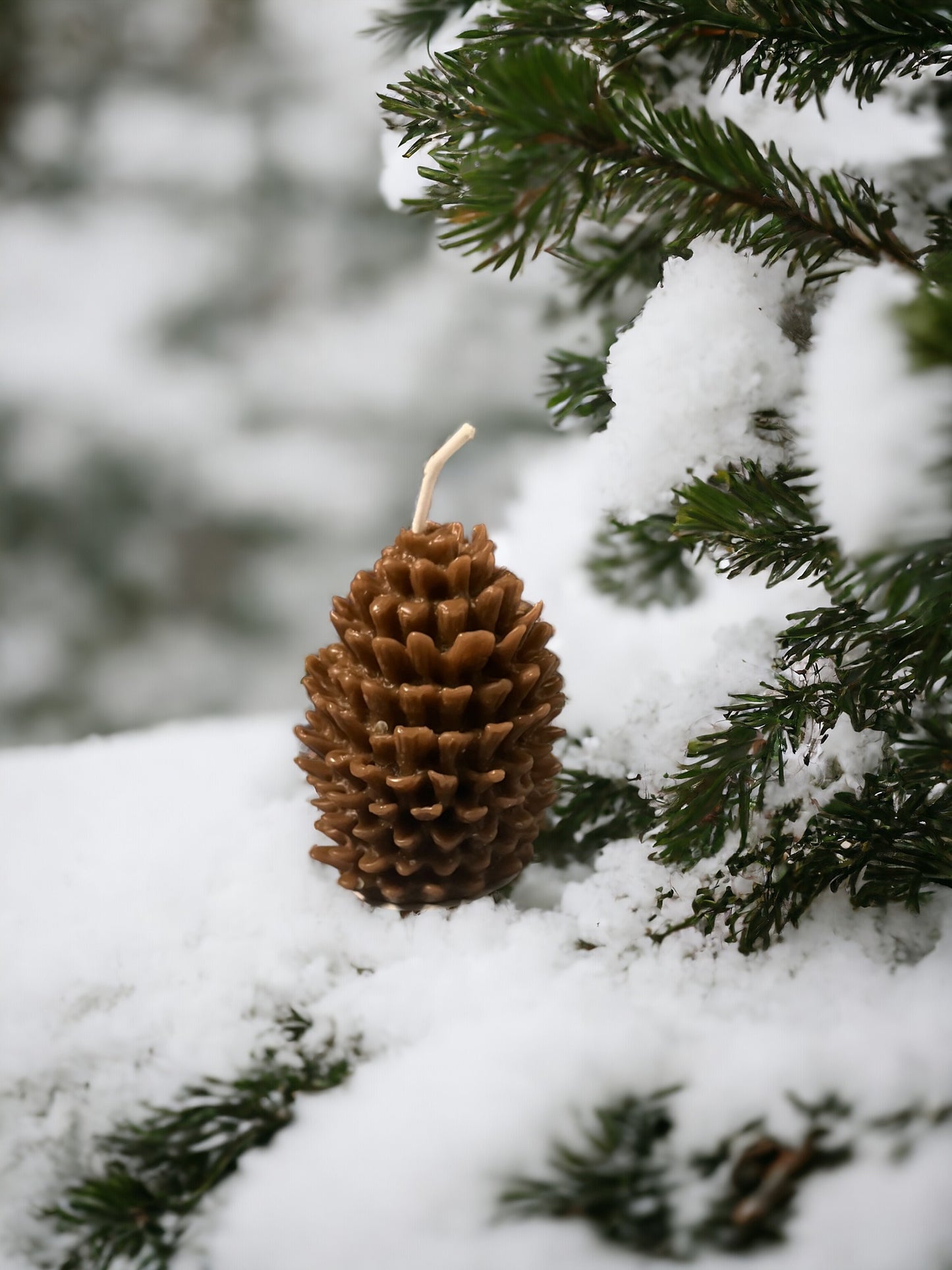 Pine Cone Candle Mold