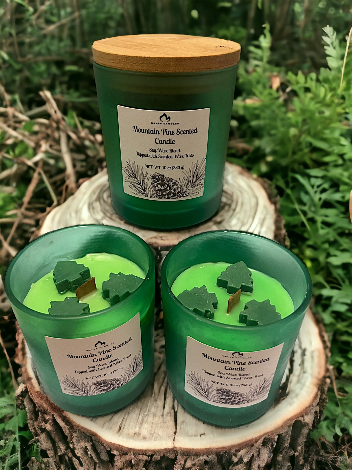 Mountain Pine Scented Candle