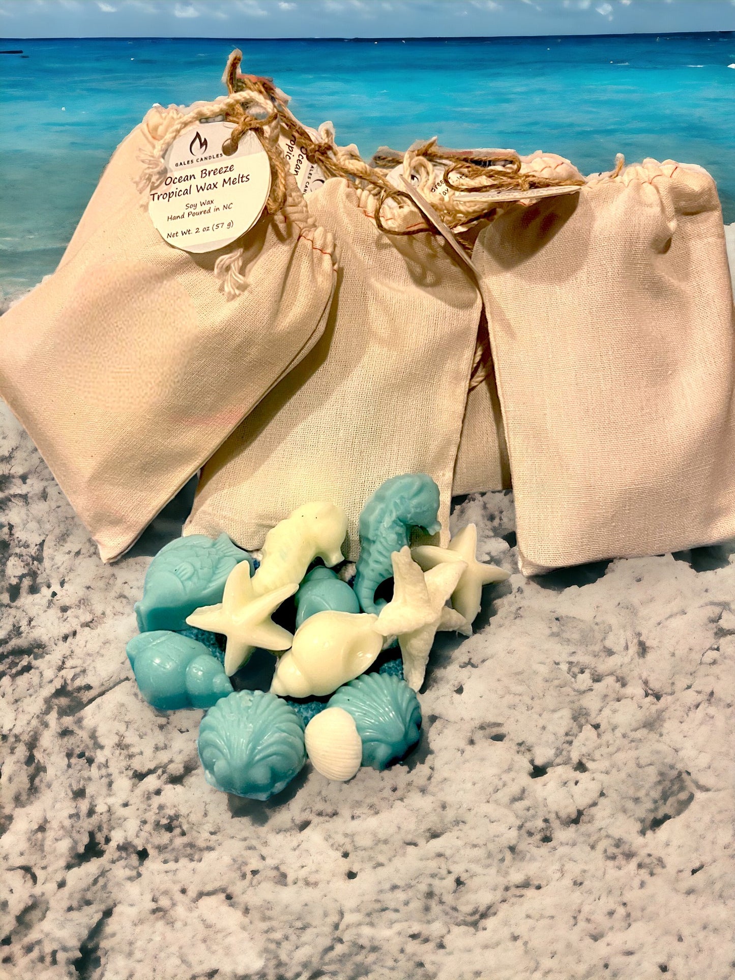 Ocean Breeze Tropical Wax Melts